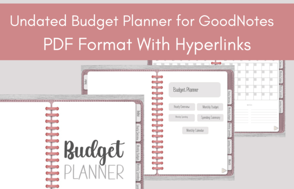 Download Undated Budget Planner for GoodNotes - Plan Collection