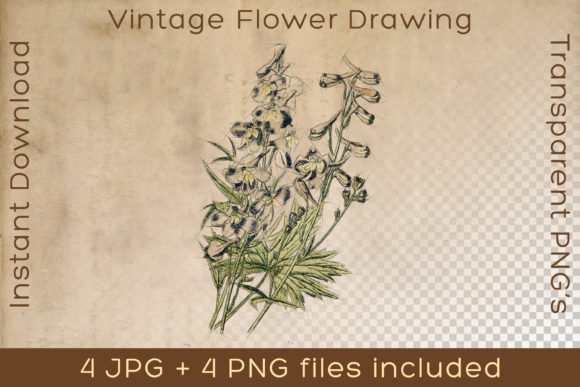 Download Flower Vintage Floral Plant Art Drawing - Plan Collection